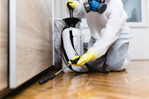 Best Affordable Pest Control Services  in Deville, AL