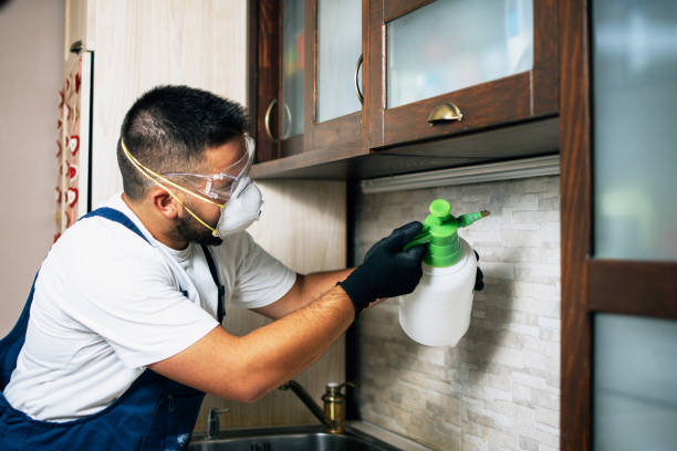 Pest Control for Restaurants in Daleville, AL