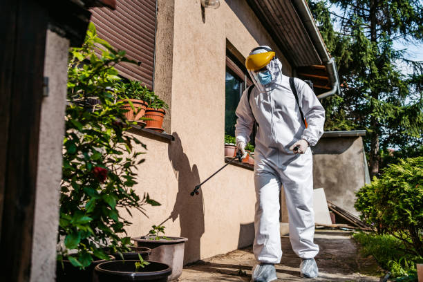 Best Spider Control Near Me  in Deville, AL
