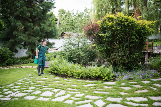 Best Residential Pest Control  in Deville, AL