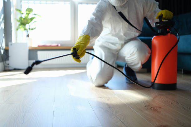 Best Affordable Pest Control Services  in Deville, AL