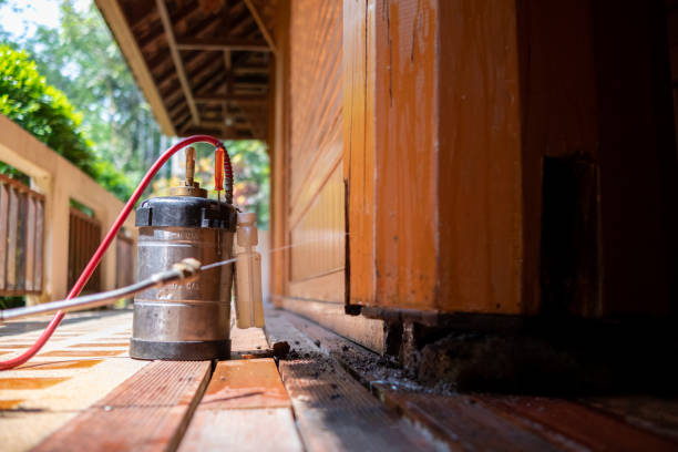 Best Pest Prevention Services  in Deville, AL