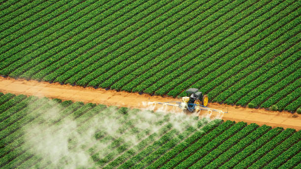 Best Commercial Pest Control Services  in Deville, AL