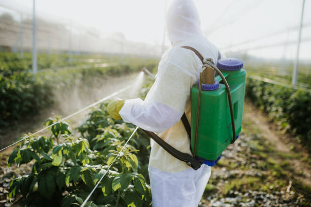 Best Best Pest Control Companies  in Deville, AL